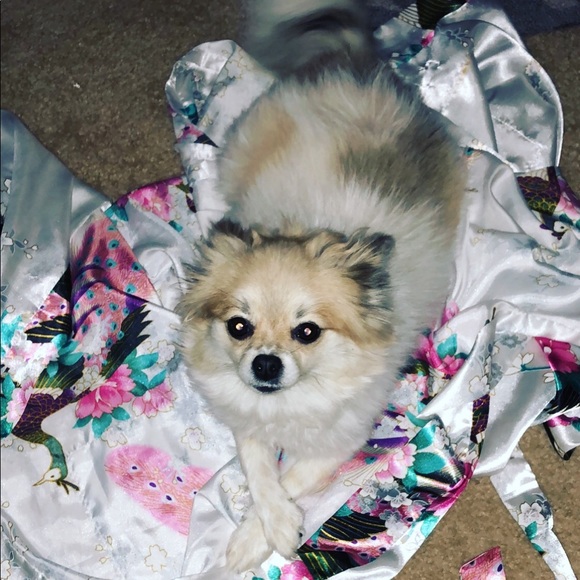 Meet your Posher, Heather - Picture 6 of 8